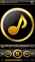 SKIN PLAYERPRO V4 GOLD ELEGANT poster
