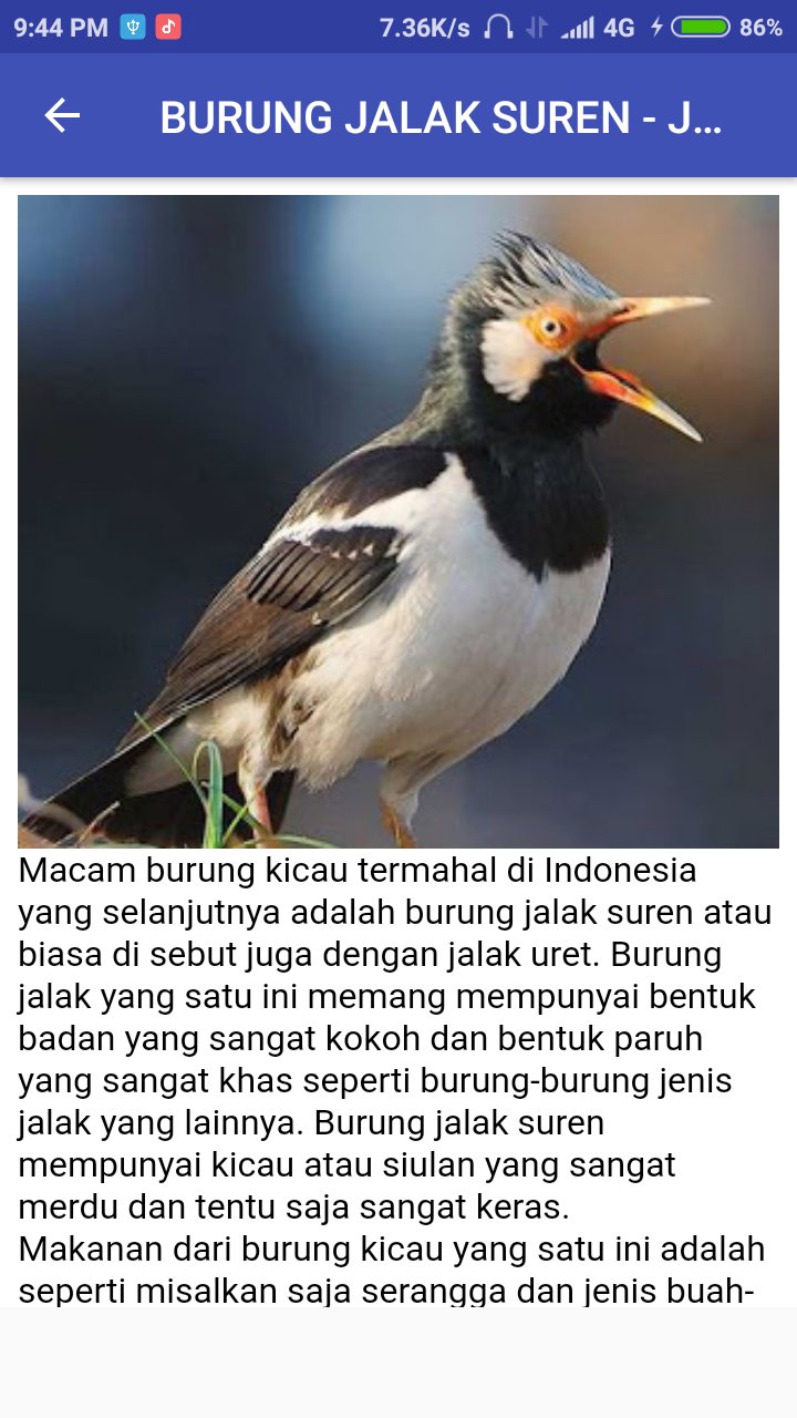 Tips Burung Mania For Android Apk Download