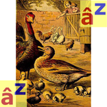 Lettérâìd - The Ugly Duckling