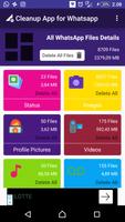 Whatsapp Cleaner Lite Pro Affiche