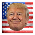 Trump Meme Faces