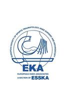 Eka2013 海报