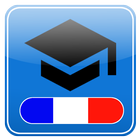 Le Dictionnaire ícone