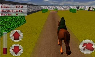 Horse Jumping Game 3D 2015-16 تصوير الشاشة 3