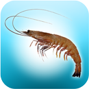 mKRISHI-Aqua APK