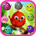Bubble Birds