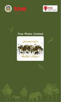 True Photo Contest Affiche