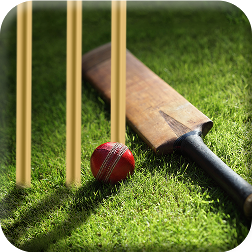 Learn Cricket 2017