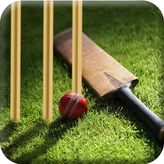 Скачать Learn Cricket 2017 APK