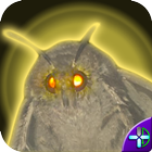 The Lamp Game icon