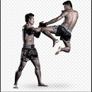 Muay Thai Roundhouse Kick aplikacja