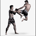 Muay Thai Roundhouse Kick icon