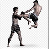 Muay Thai Roundhouse Kick Cartaz