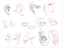 Draw a Cartoon Face Correctly capture d'écran 1