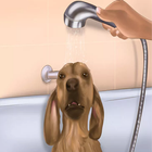 Wash a Dog 图标