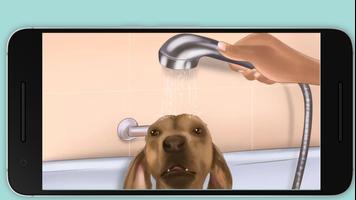 Wash a Dog poster