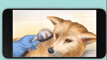 Wash a Dog ภาพหน้าจอ 1