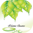 Islamic Quotes