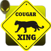 The Dianne Cougar Alert