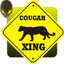 The Dianne Cougar Alert aplikacja