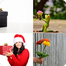 APK 4 Fotos 1 Palabra