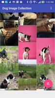 Dog Image Collection स्क्रीनशॉट 1