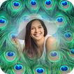 Peacock Feather Photo Frame