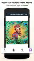 Peacock Feather Photo Frame poster