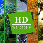 HD Wallpapers 圖標