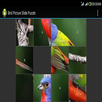 Bird Jig Saw Puzzle APK