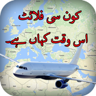 Live Flight Tracker Free Pakistan آئیکن