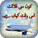 Live Flight Tracker Free Pakistan APK