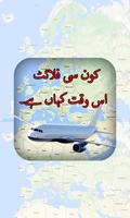 Live Flight Tracker Free Pakistan پوسٹر