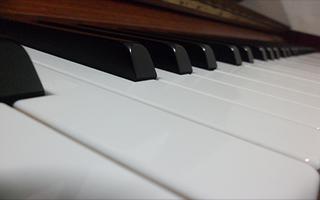 Piano Keyboard Tap Ekran Görüntüsü 2