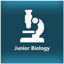 Junior Biology APK