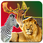 Safari Animal Caza icono