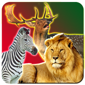 Animal Safari Chasse icon