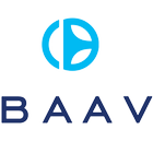 Baav Driver-icoon