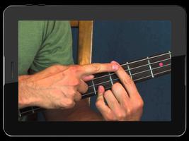 Bass Guitar Chords & Scales screenshot 3