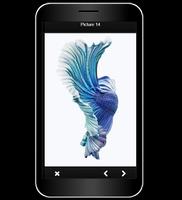 Betta Fish Live Wallpaper capture d'écran 1