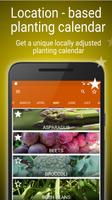 Planting calendar - vegetables poster