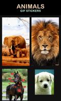 Animal Gif screenshot 1