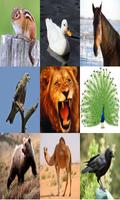 1 Schermata Animal Sounds