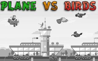 Plane vs Birds Affiche