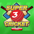 New Super Cricket 3