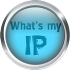 What's My IP? icône