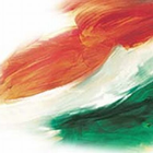 Indian Flag Live Wallpaper icône