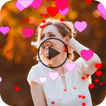 Love Effect Video Maker