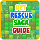 Tips for Pet Rescue Saga icône