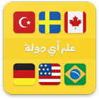 علم أي دولة أيقونة